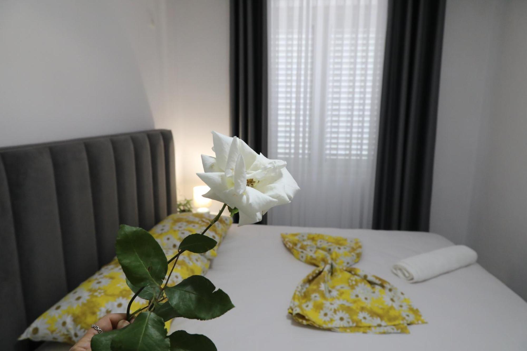 Rozafa Guest Room Center Shkodër 외부 사진
